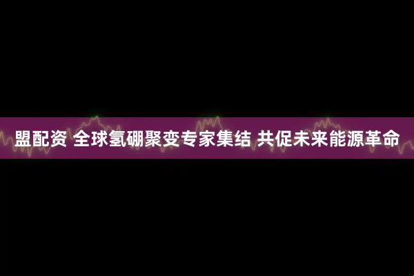 盟配资 全球氢硼聚变专家集结 共促未来能源革命
