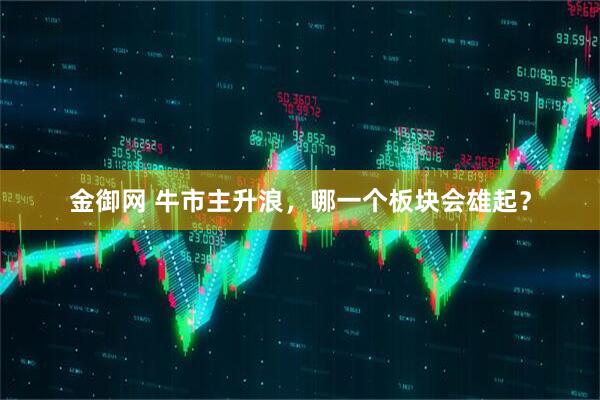 金御网 牛市主升浪，哪一个板块会雄起？